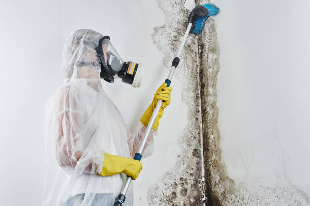 Best Residential Mold Removal  in Aberdeen, NC