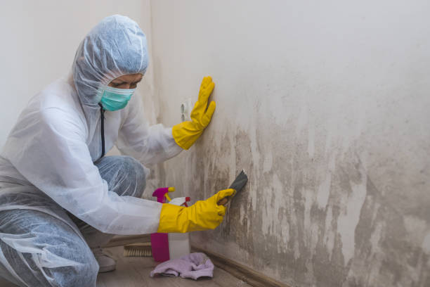 Best Office Mold Removal Services  in Aberdeen, NC