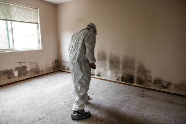 Best Certified Mold Removal  in Aberdeen, NC